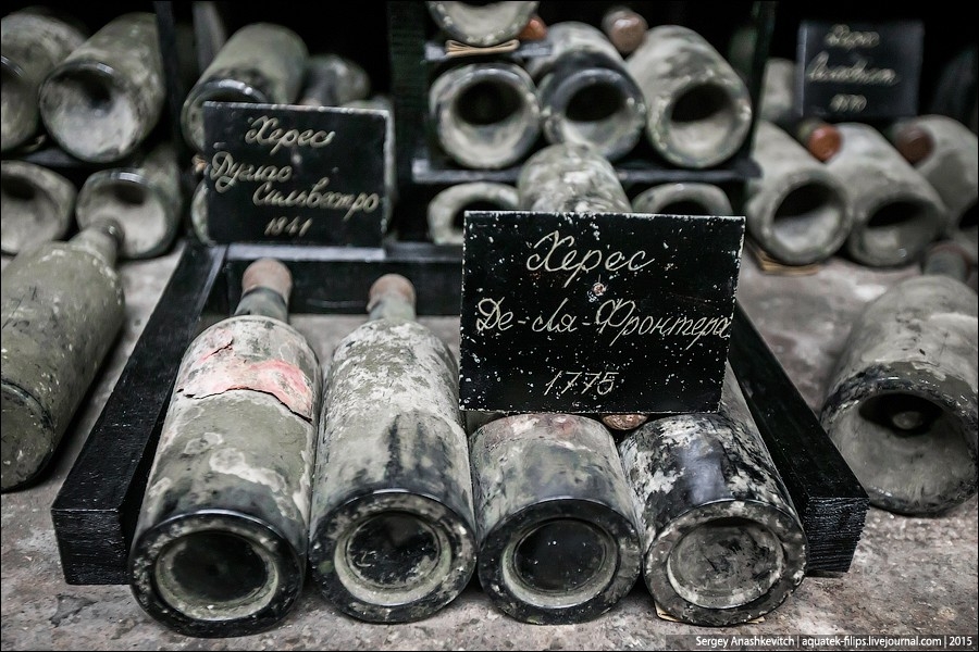 Как построить винный погреб в своем доме? Советы мастеров в репортаже из французской винодельни