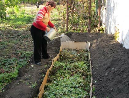 теплая грядка своими руками