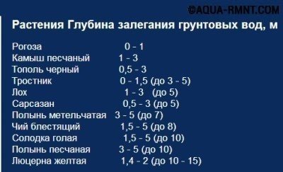 Поиск воды для скважины: метод наблюдения Поиск воды для скважины: метод наблюдения