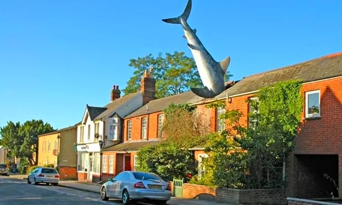 Shark Attack Home Shark Attack Home