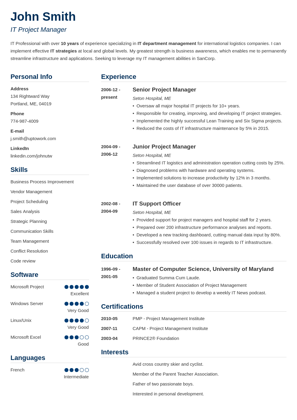 Professional CV Template Simple