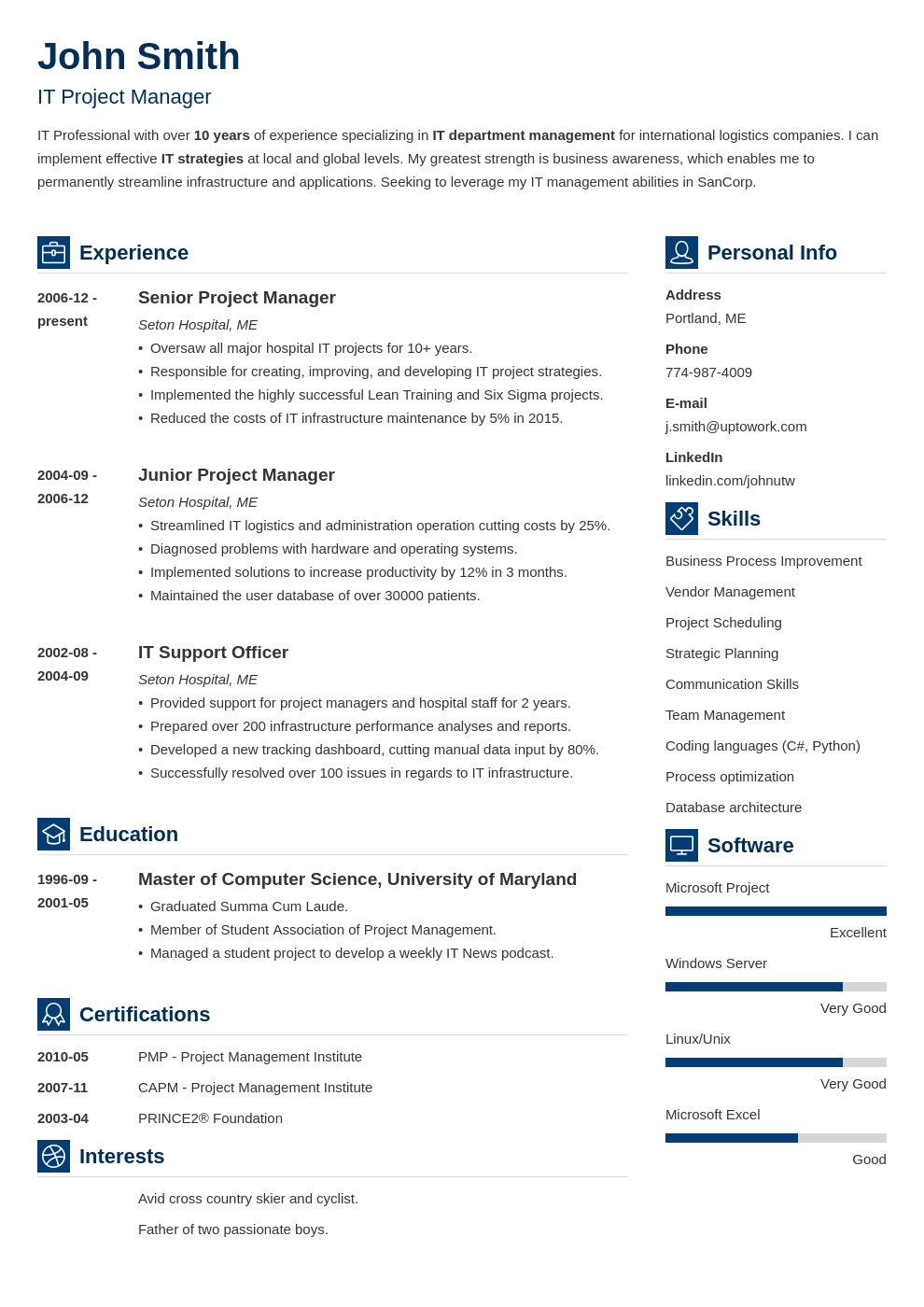 Professional CV Template Vibes