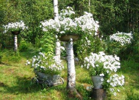 Идеи для озеленения загородного дома, фото № 9 Идеи для озеленения загородного дома, фото № 9