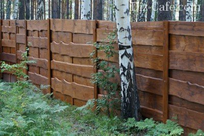 Деревянный забор в лесном массиве Деревянный забор в лесном массиве