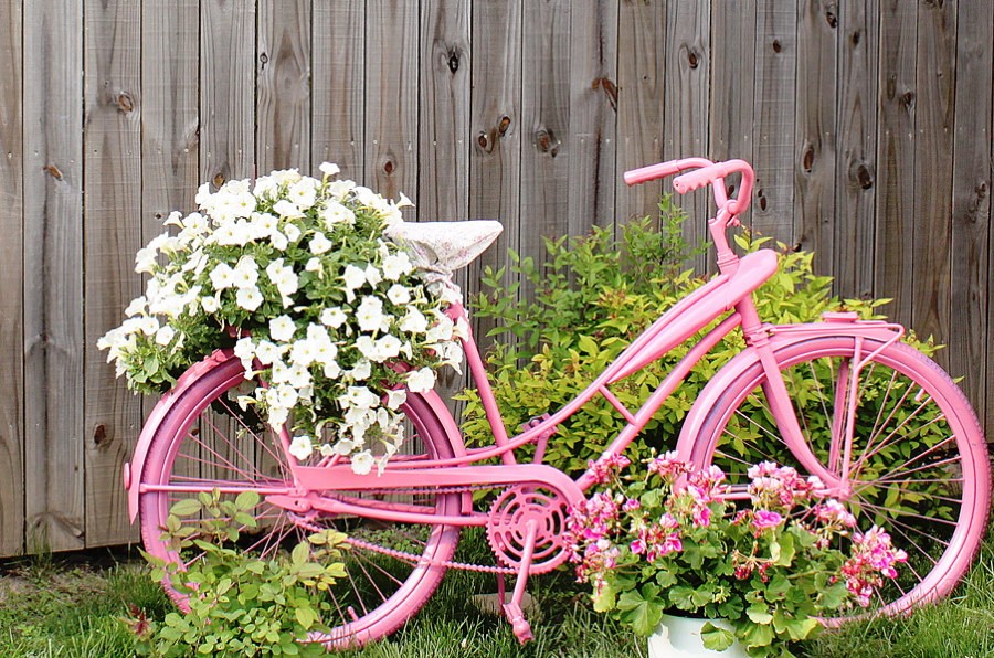 Садовая клумба из розового велосипеда