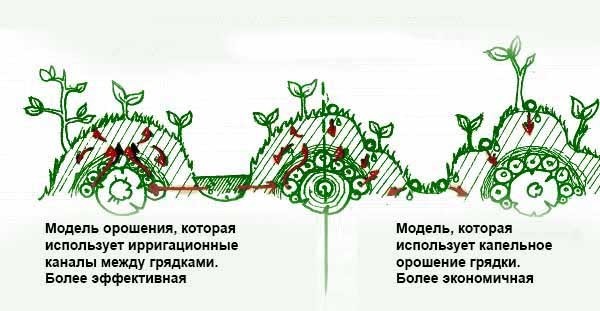 Как сделать высокие грядки: 100 полезных идей Как сделать высокие грядки: 100 полезных идей