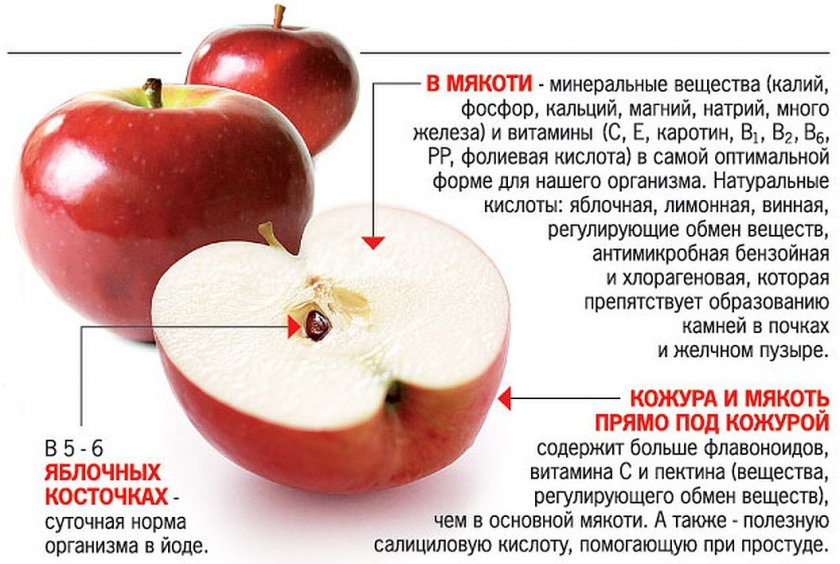 Состав яблока Состав яблока