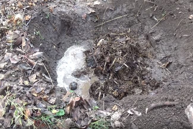 Наполнение посадочной ямы для яблони садовой землей и перегноем