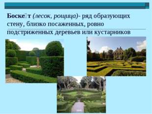 Боске́т (лесок, рощица)- ряд образующих стену, близко посаженных, ровно подст Боске́т (лесок, рощица)- ряд образующих стену, близко посаженных, ровно подст