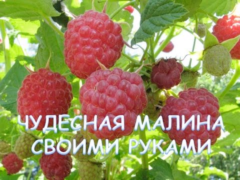Иллюстрация 4 Иллюстрация 4