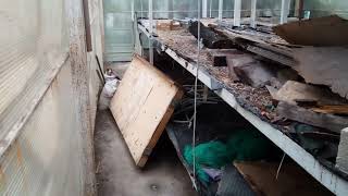 Лук на перо зимой как бизнес идея."Подводные камни". Лук на перо зимой как бизнес идея."Подводные камни".