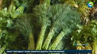 Почему бизнес на зелени весь в крови Почему бизнес на зелени весь в крови