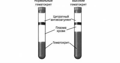 Гематокрит крови Гематокрит крови