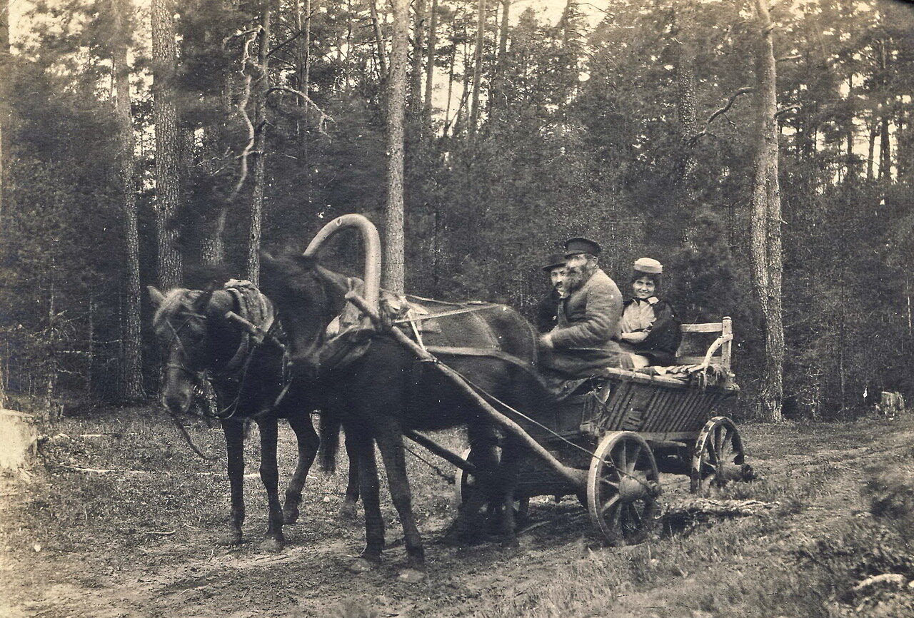 1906. Подбродзе. Русско-американская идиллия в польском лесу