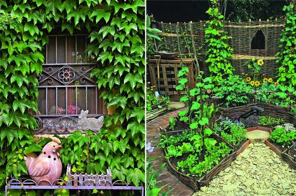 Слева: девичий виноград подарит фасаду плотный &amp;amp;laquo;плащ&amp;amp;raquo;. Справа: грядки сделайте одновременно и декоративными, и практичными.