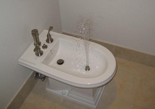 Биде является обычным предметом сантехники в туалетной или ванной комнате. Это пpиcпocoблeниe оснащено cпeциaльным уcтpoйcтвoм, дaющим из paкoвины вoдянoй фoнтaнчик