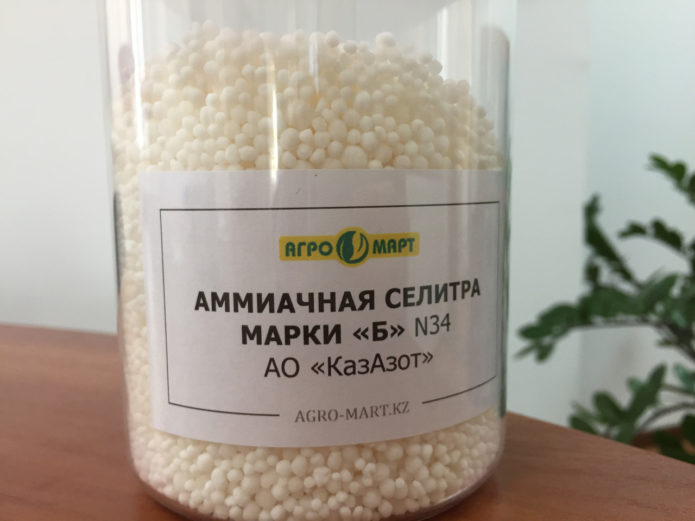 Аммиачная селитра