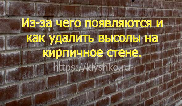 высолы-на-кирпиче высолы-на-кирпиче