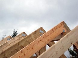 Стропильная система Стропильная система
