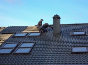 устройство крыши из профнастила устройство крыши из профнастила