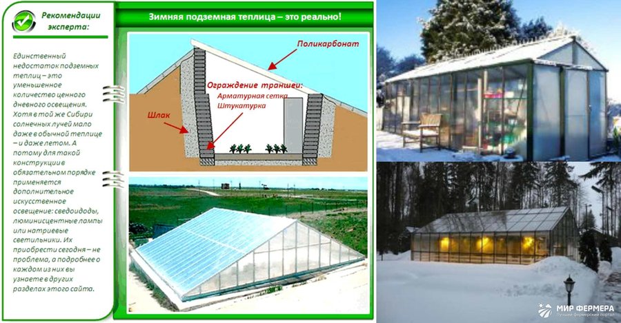 Зимняя теплица Зимняя теплица особенности