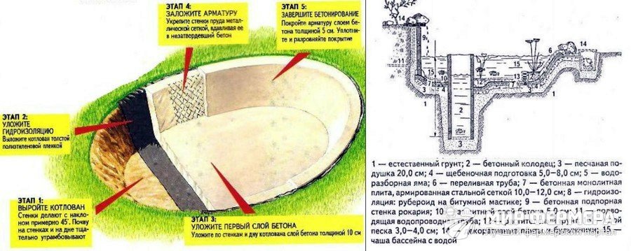Обустройство пруда Как сделать пруд для рыбы