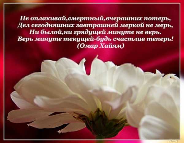 цитата