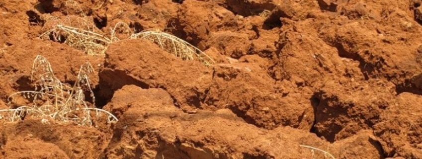 глинистая почва глинистый вид почвы