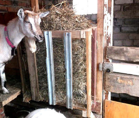 кирпичный сарай для коз
