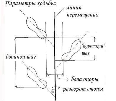 Базовые варианты передвижения человека. Базовые варианты передвижения человека.