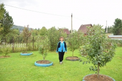 огород по природному огород по природному