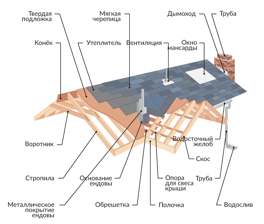 анатомия крыши