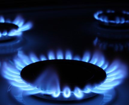 Голивое топливо прочно утвердило свои позиции среди конкурентов Газовая конфорка