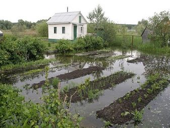 Грунтовые воды на участке: как узнать и понизить уровень?
