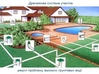 Грунтовые воды на участке: как узнать и понизить уровень?