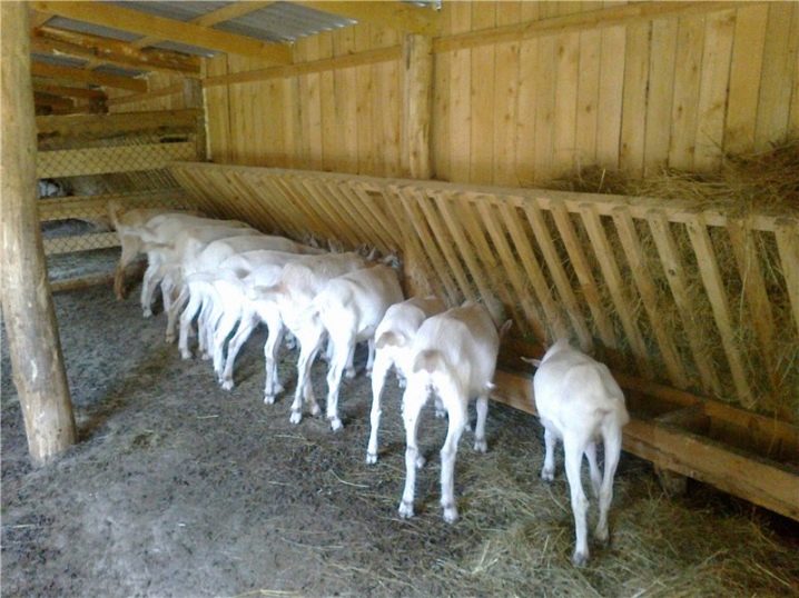 Как построить сарай для коз?