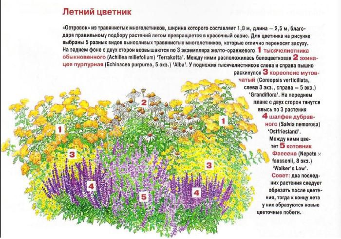 Летний цветник, схема