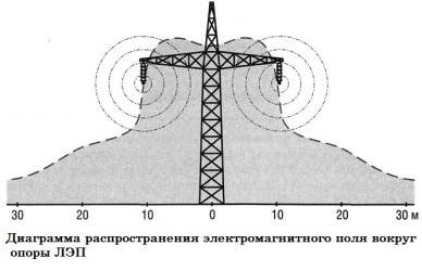 На дачном участке