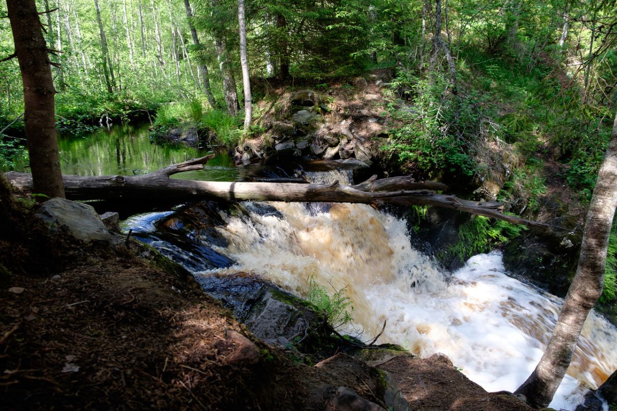 Подземные воды и грунтовые воды 1647