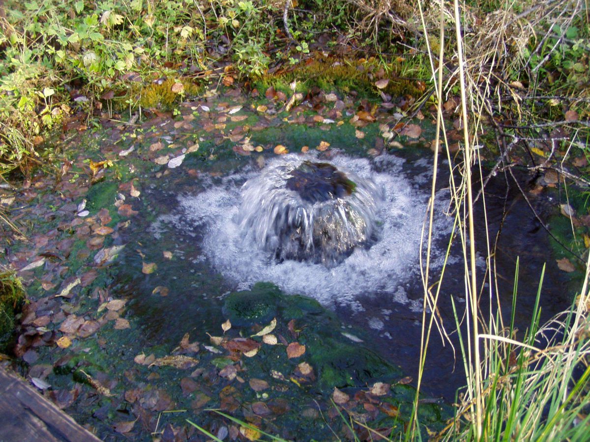 Подземные воды и грунтовые воды 1657