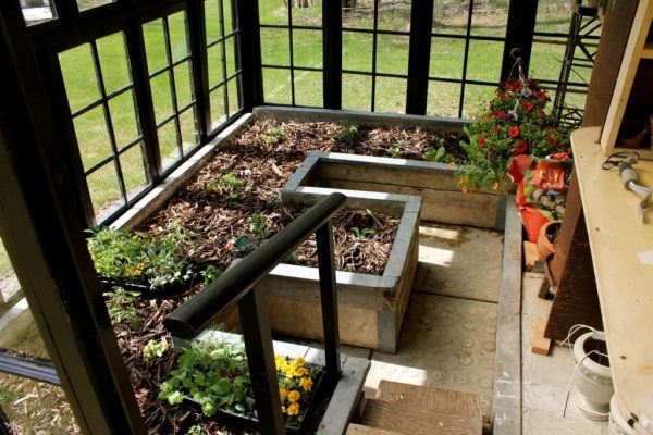 greenhouse_03 greenhouse_03